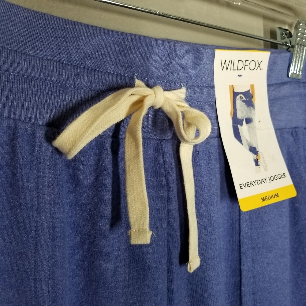 Wildfox | NWT Everyday Cozy Wedgewood Blue Joggers - Picture 5 of 9